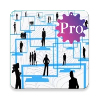 Organizational Behavior Pro